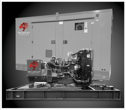 Wildcat RO0060 60kW Roughneck NG/LP/VP Prime Power Generator