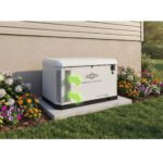 Briggs & Stratton 040795 22kW PowerProtect+ Generator with 200A SE Transfer Switch gallery image 3