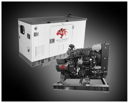 Wildcat Power Gen Wildcat RE0015D4 15kW Renegade 3ph Tier 4F Diesel Generator gallery image 2
